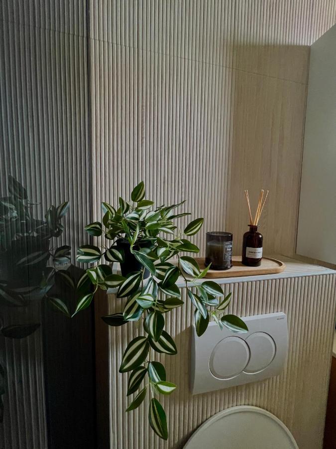 Mirela Apartman *